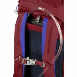 Best reviews of ✨ Budget ✔️ Osprey Jet 18 - Kid's ???? ???? 31 Best reviews of ✨ Budget ✔️ Osprey Jet 18 - Kid's ???? ???? -Topo Designs shop jet18 s20 detail4 cosmicred rsz 36004.1626823091