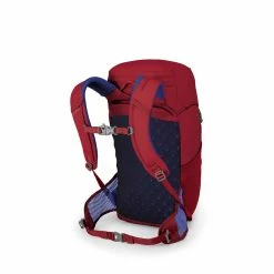 Best reviews of ✨ Budget ✔️ Osprey Jet 18 - Kid's ???? ???? 26 Best reviews of ✨ Budget ✔️ Osprey Jet 18 - Kid's ???? ???? -Topo Designs shop jet18 s20 sideback cosmicred rsz 14400.1626823095