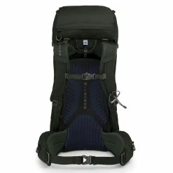 Deals 🔔 Best Sale 🧨 Osprey Kestrel 38 💯 ⭐ -Topo Designs shop kestrel38 s19 back picholinegreen 54262.1626822938