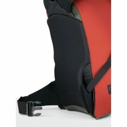 Deals 🧨 Budget ⭐ Osprey Heritage Scarab ⌛ ❤️ -Topo Designs shop scarab f21 detail6 bazanred rsz 33899.1653328636